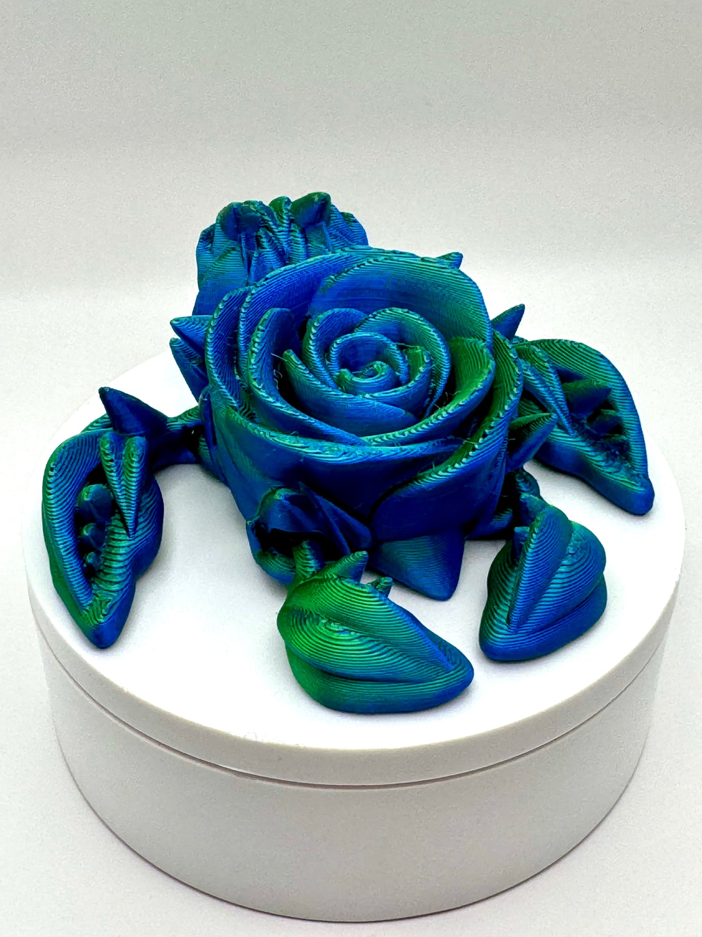 Rose Turtle Printz (Multi-Colors)