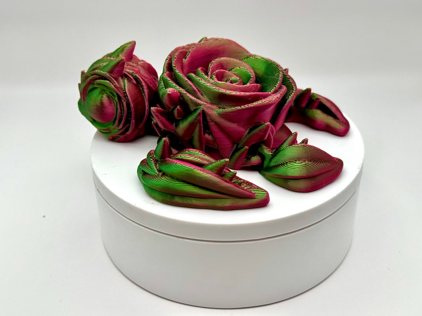 Rose Turtle Printz (Multi-Colors)