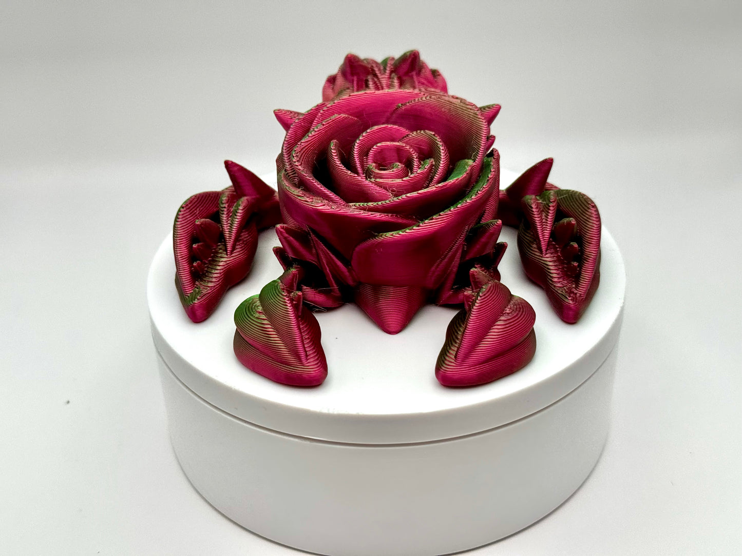 Rose Turtle Printz (Multi-Colors)