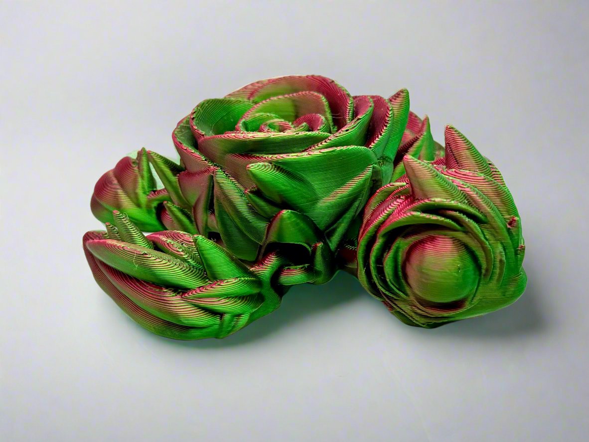 Rose Turtle Printz (Multi-Colors)